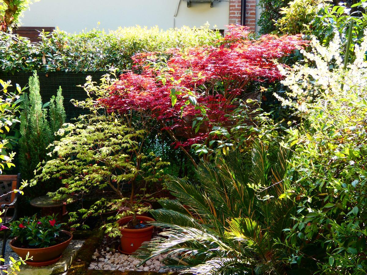 Garden Sweet House Desenzano Daire Desenzano del Garda Dış mekan fotoğraf